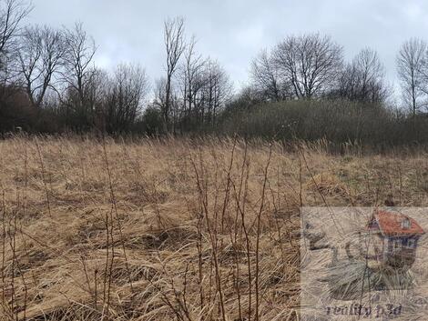 foto02_11490697_bz3r4.jpg