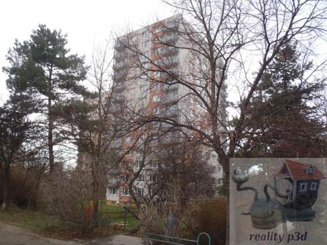 foto02_11561191_389c8.jpg