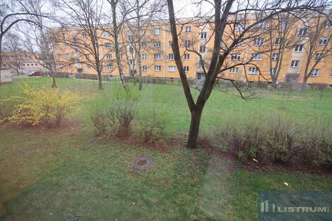 foto02_11471973_8hco4.jpg