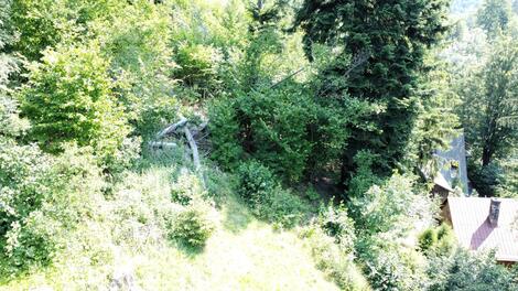 foto02_11542126_ojkn4.jpg
