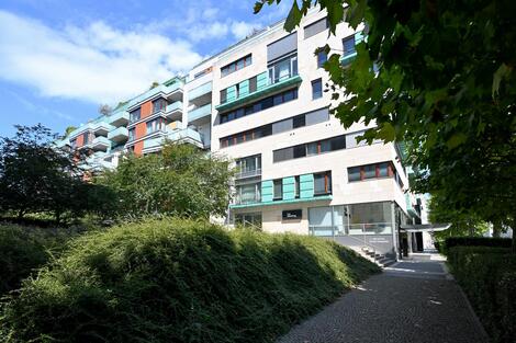 foto02_11344350_aaino.jpg