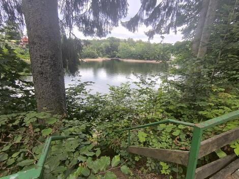 foto02_11368978_13cw3o.jpg