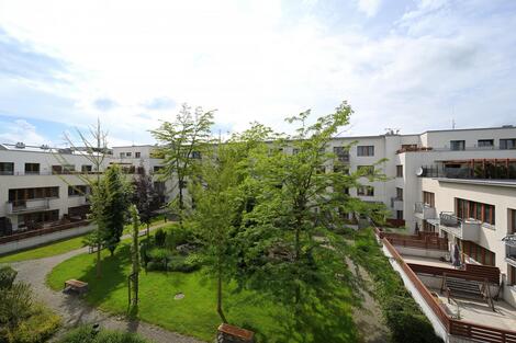 foto02_11371962_ro23o.jpg