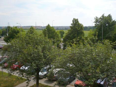 foto02_11372457_8gowk.jpg