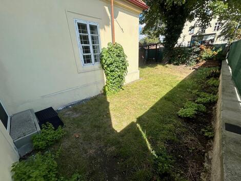 foto02_11373007_umnu0.jpg