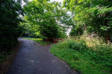 foto02_11474899_yc8v0.jpg