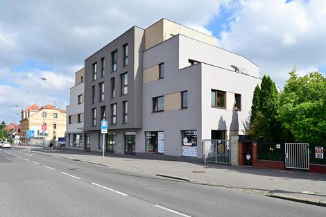 foto02_11479320_19f9zg.jpg