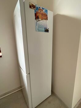foto02_11519264_ft8o4.jpg