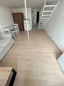 foto02_11519264_hfvs4.jpg