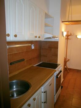 foto02_11540006_whaag.jpg