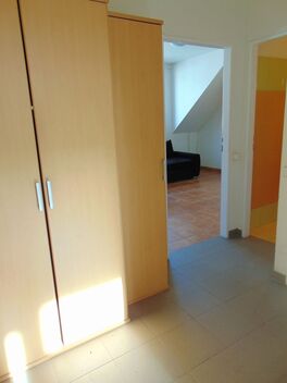 foto02_11553659_17hyds.jpg