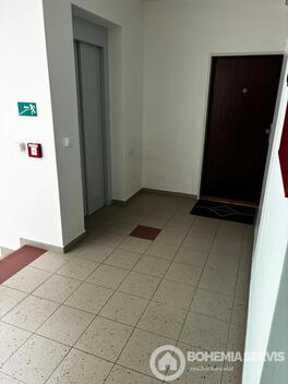 foto02_11567991_192yb8.jpg