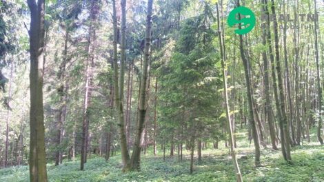 foto02_11049555_36zi8.jpg