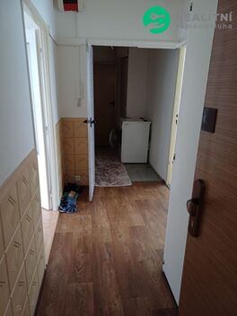 foto02_11308911_1cdxho.jpg