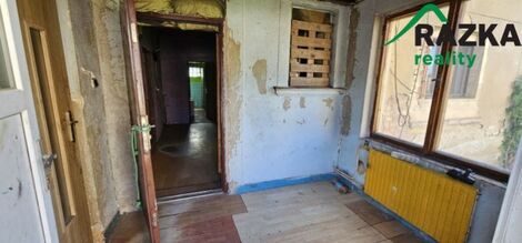 foto02_11331754_1gawn8.jpg