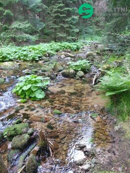 foto02_11346426_1bgb88.jpg