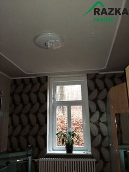 foto02_11348071_lvthw.jpg