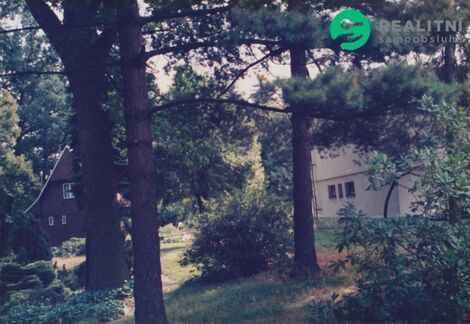 foto02_11348560_4lfxw.jpg