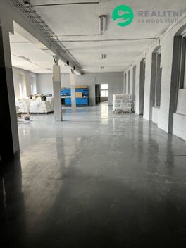 foto02_11353813_10ibqo.jpg