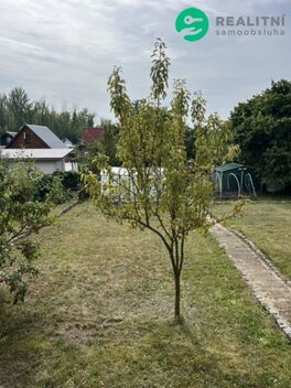 foto02_11373011_z07ik.jpg