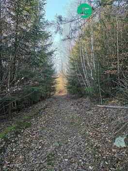 foto02_11429457_1m21o0.jpg