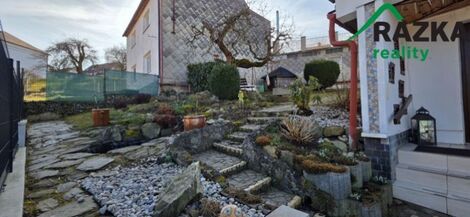 foto02_11450325_164ogo.jpg