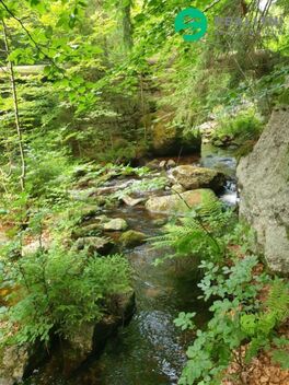 foto02_11462054_d42wo.jpg