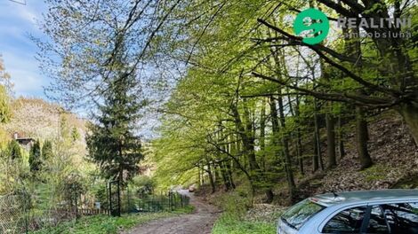 foto02_11486664_ntavw.jpg