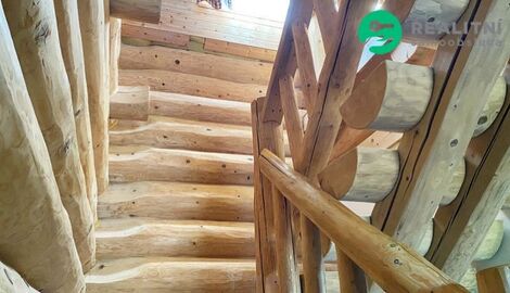 foto02_11488205_1htgj8.jpg