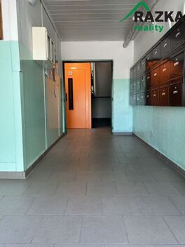 foto02_11494291_2uniw.jpg