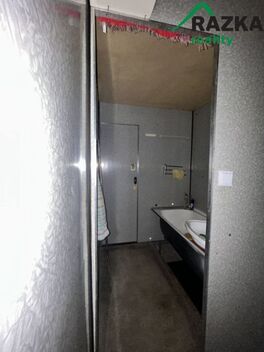 foto02_11494291_7xziw.jpg