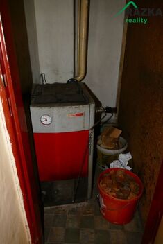 foto02_11494888_19q1y4.jpg