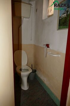 foto02_11494888_bah6g.jpg