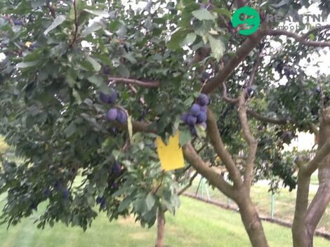 foto02_11507563_jxzu8.jpg
