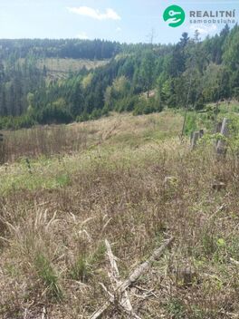 foto02_11510270_iiavs.jpg