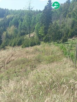 foto02_11510270_pnyf8.jpg