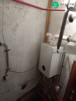 foto02_11538389_yr8g0.jpg