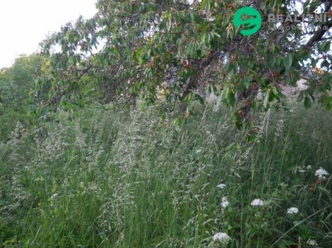 foto02_11541615_1h95fs.jpg