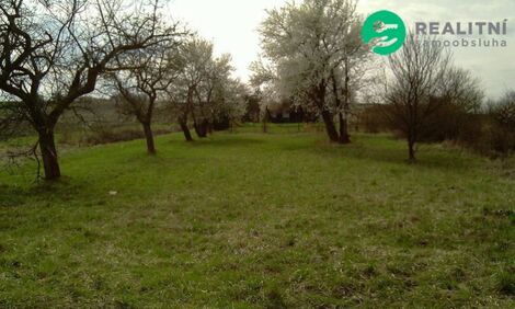 foto02_11544126_1luo8g.jpg