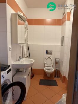 foto02_11549080_dypoo.jpg