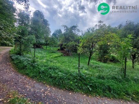 foto02_11554761_1ifmao.jpg