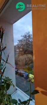 foto02_11570432_yasmg.jpg