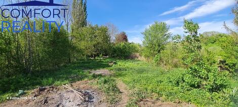 foto02_11498333_y5x30.jpg