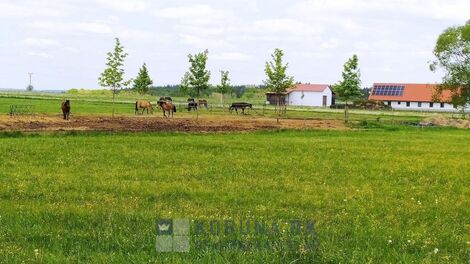foto02_11323412_18lhdk.jpg