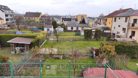 foto02_11473004_pz6fo.jpg