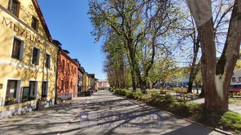 foto02_11496004_xqyi4.jpg