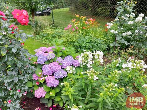 foto02_11460336_5f0ak.jpg