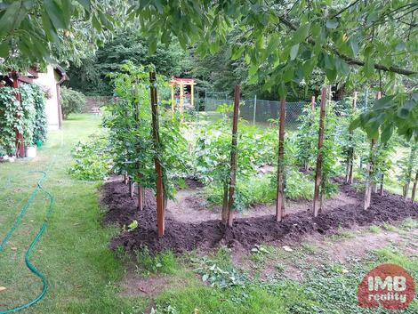 foto02_11500704_11579w.jpg