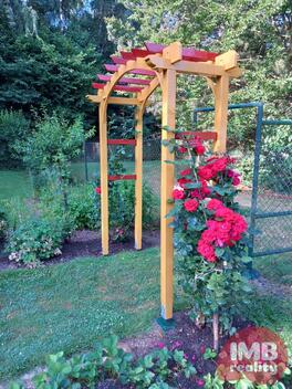 foto02_11500704_14dfgg.jpg