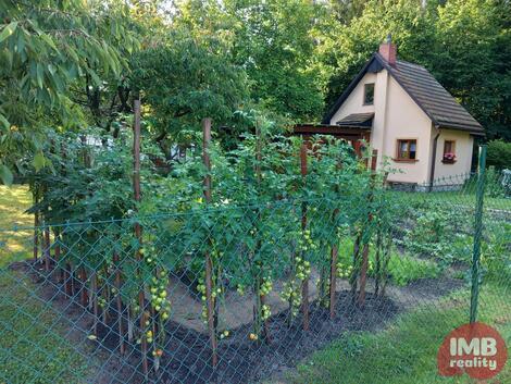 foto02_11500704_f1ors.jpg